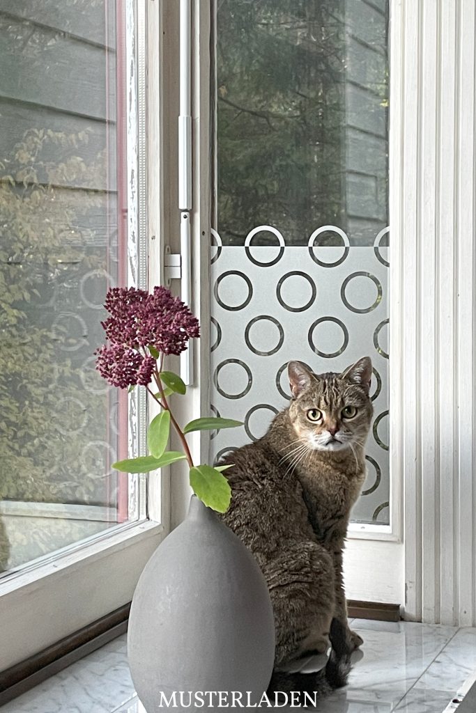 Fenster mit dekorativer Folie, davor sitzt getigerte Katze