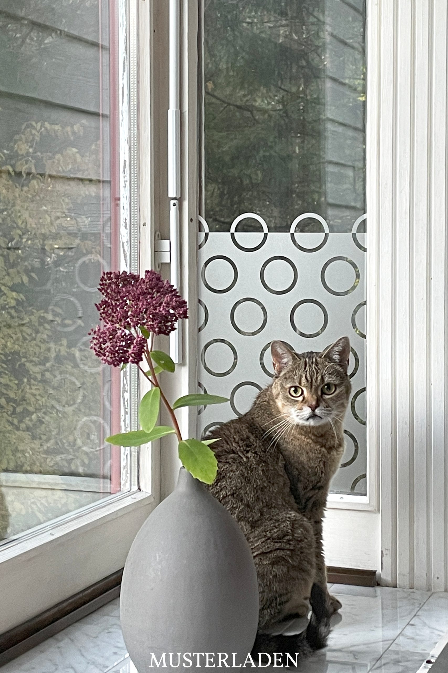 Sichtschutzfolie Fenster - 2 Anwendungsbeispiele - Musterladen