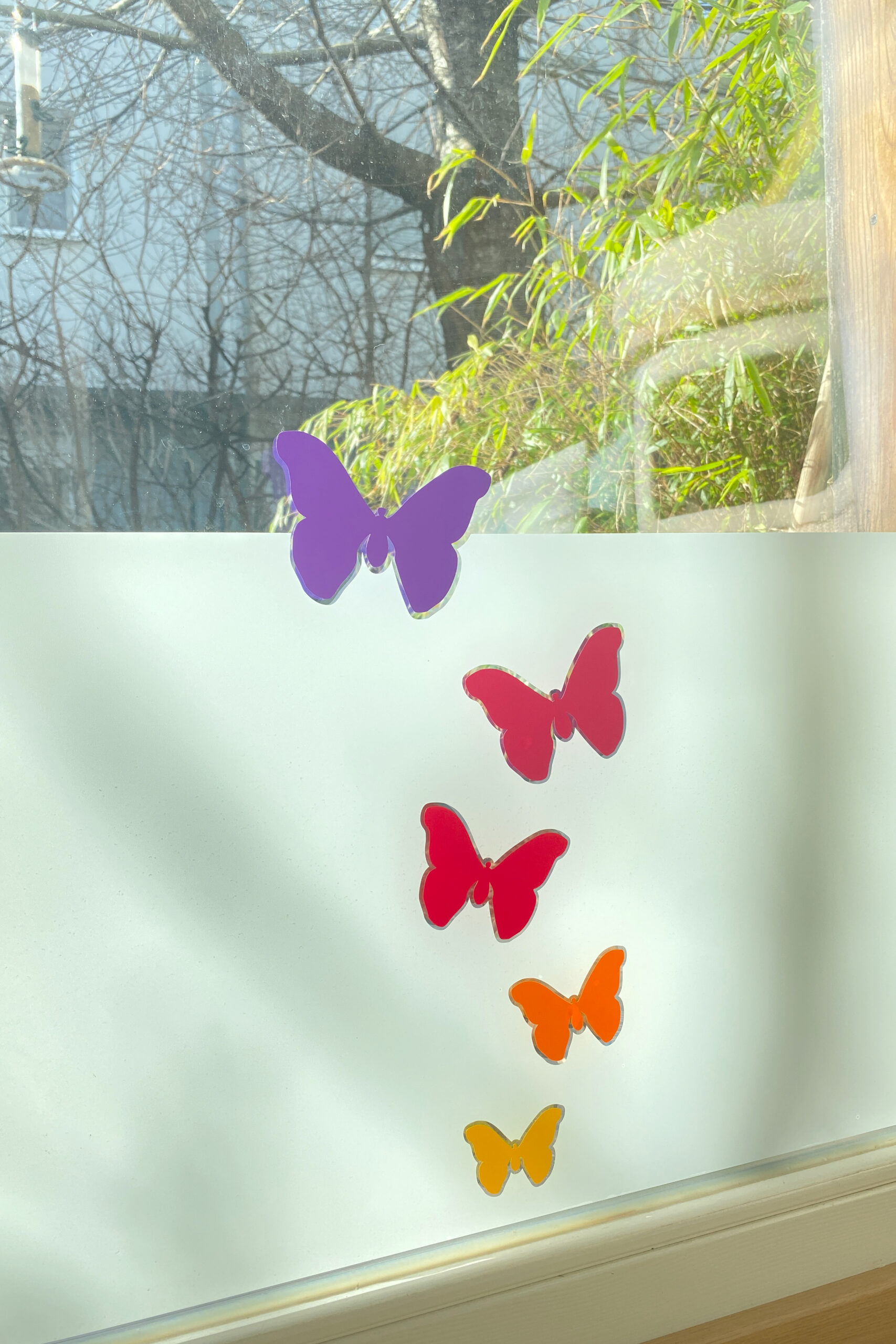 Glas mit Sichtschutz für Fenster mit Schmeterlingen