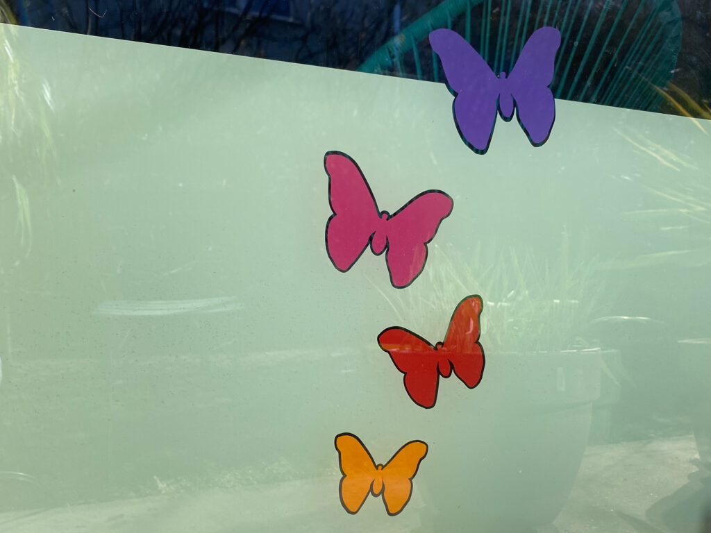Sichtschutzfolie bunt mit Schmetterlingen von aussen